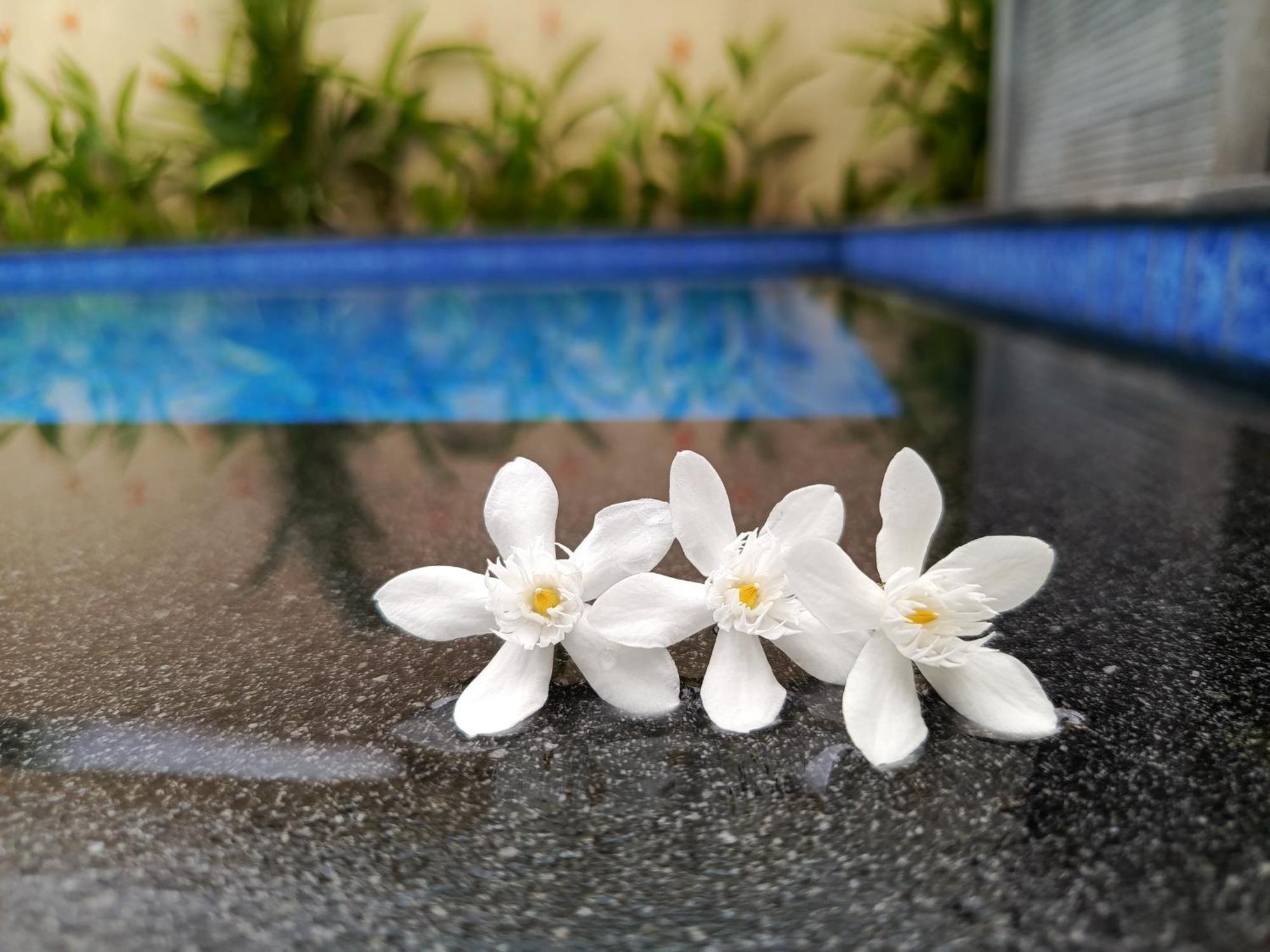 Zavana Rooms & Restaurant Tanjungkarang Luaran gambar